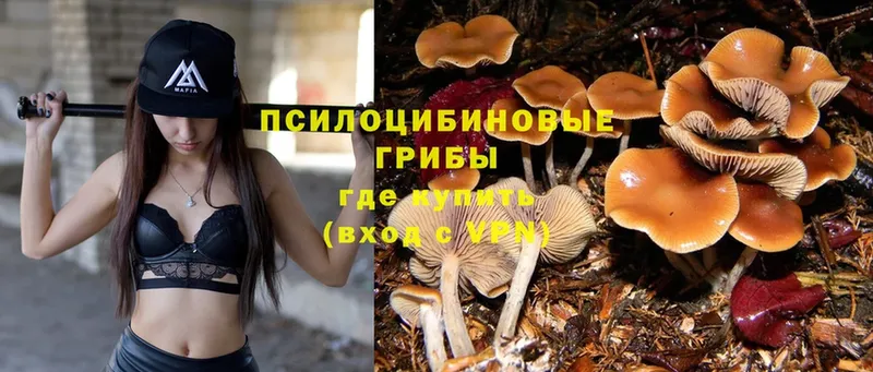 Псилоцибиновые грибы MAGIC MUSHROOMS  Нефтеюганск 